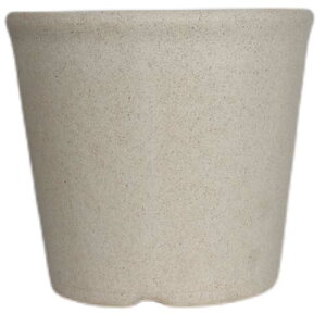 ݂|bg 8 zCg 240×216mm welzo