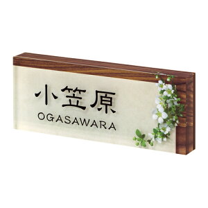 \D vC NPYA-11-31(ubN) zCg+uE @\和pTCY ێO^JM