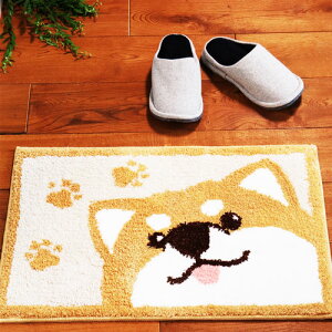 RۖhLփ}bg Č 40×65 DCM