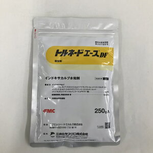 gl[hG[XDF 250g 250g O䉻w
