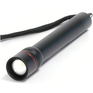 LED�A���~���C�g E-AL12 �u���b�N 270���[�����^�C�v DCM