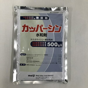 Jbp[Va 500g 500g MMAO