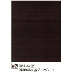 アルパレージ AP2W09 W09 910×2450mm FUKUVI