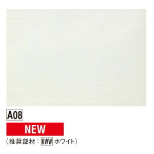 ʃAp[W KAP2A08 A08 FUKUVI