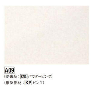 ʃAp[W KAP2A09 A09 FUKUVI