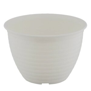 t[O|bg7 MA-3271 zCg xXgR