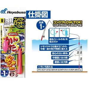 񂽂ԂݒނZbg 3{b M tBbVOpi nuT