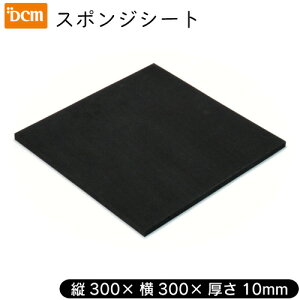 X|WV[g 10×300×300mm DCM