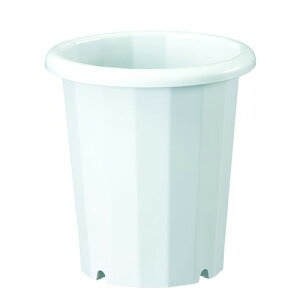 L 17L zCg zCg 12 }g
