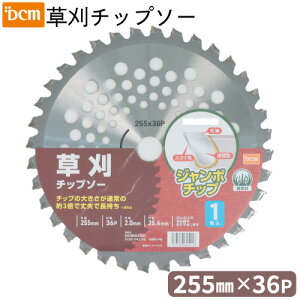 `bv\[1 W{`bv 255mm×36P DCM