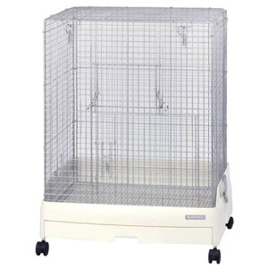 C[W[z[60 nCbV WH WILD