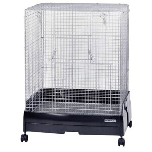 C[W[z[60 nCbV BK WILD