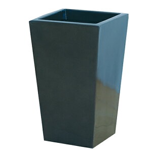 XNGA|bgL^ iʌHς݁j L-25 MO[ ^bNO[ e:25.0L }g