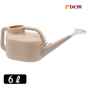 W[ 6L DCM