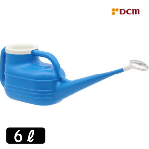 _ƗpW[ 6L DCM