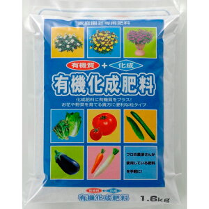 �L�@�����엿666 �����A�O���A