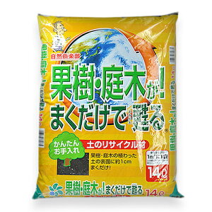 Rp ʎ؂܂S 14L RpȊw