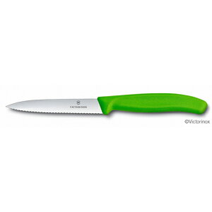 Victorinox yeB[iCtgnO[10cm #6.7736.4FCE Victorinox
