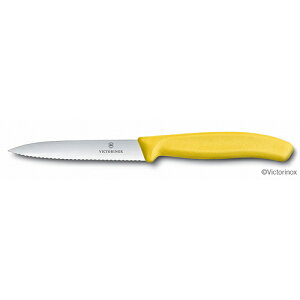Victorinox yeB[iCt gnCG[10cm #6.7736.8FCE Victorinox