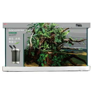 10%OFFN[| 420:00`523:59OXeA900 6_Zbg GEX e  Zbg Ϗ܋ ANAeE CeA  