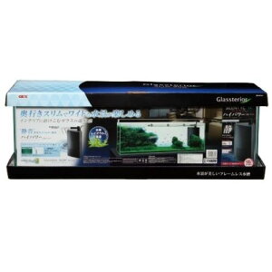 OXeATCg900X GEX Ϗ܋  ANAeE CeA  