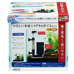 _JC_Ĵ߂̐Zbg 200CUBE GEX
