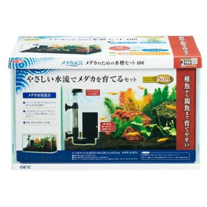 _JC _Ĵ߂̐Zbg 400 GEX