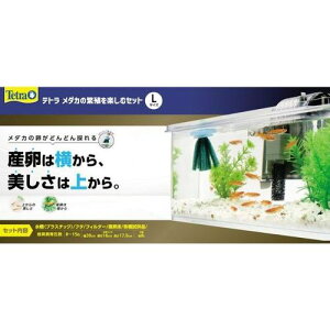 eg _J̔ɐByރZbg L eg