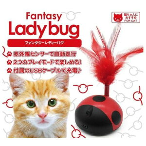 t@^W[ fBoO ()t@^W[[h