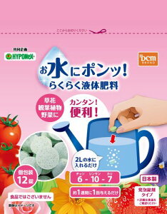 �炭�炭�t�̔엿 12�� DCM