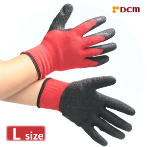 �����������N�ю�� L L DCM