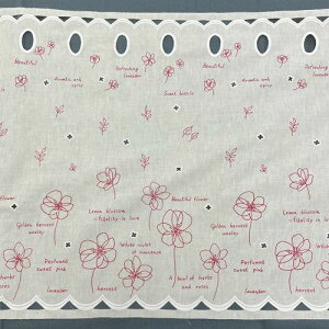 y؂蔄z JtF[ `[~[ 47cm RE 1m bh 47cm jx[