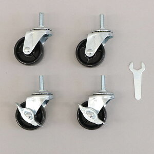 19A25X`[bNpLX^[(PP) CC-600 ubN ԗ֒a48×65mm GCEACEGX