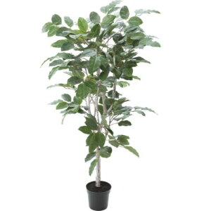 tBJXxKVX GLP-1517 GR POPPY tFCNO[ 160cm ϗtA  A CeA V Mtg v[g j J J@ JX Vz   A[gO[ POPPY