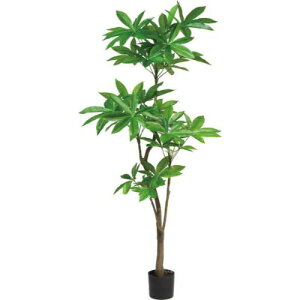 180cmpL GLP-1522 GR POPPY tFCNO[ 180cm ϗtA  A CeA V Mtg v[g j J J@ JX Vz z ړ]   A[gO[ POPPY