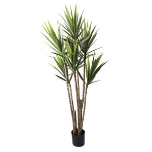 bJc[ GLP-1524 GR POPPY tFCNO[ 195cm ϗtA  A CeA V Mtg v[g j J J@ JX Vz z ړ]   A[gO[ POPPY