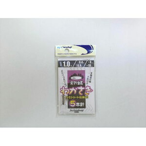 ރJTM5{j JI-026 1.0 ܂ӂ