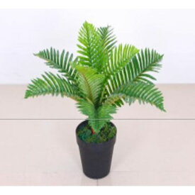 フェイクグリーン アレカヤシ 50cm FG-ARECA50 グリーン アレカヤシ YAMAZEN フェイクグリーン 観葉植物 造花 リアル インテリア 新生活 ギフト プレゼント お祝い 開業 開院 開店 新築 引越し 移転 おしゃれ 室内