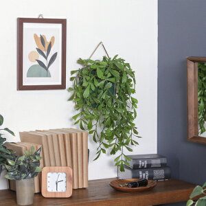 tFCNO[ NWNV 41124 nMO sf tFCNO[ ϗtA ԃCeA V Mtg  A[gO[ sf