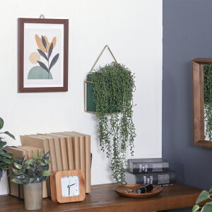 tFCNO[ O[lbNX 41127 nMO sf tFCNO[ ϗtA ԃCeA V Mtg  A[gO[ sf