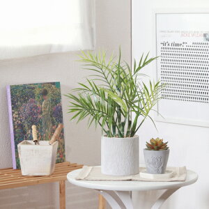 tFCNO[ e[uV 41130 y[p[|bg sf tFCNO[ ϗtA ԃCeA V Mtg  A[gO[ sf