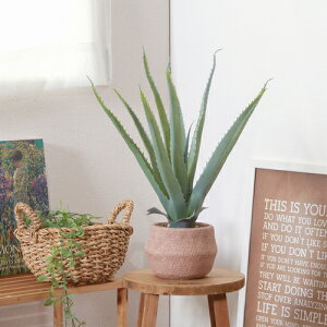 フェイクグリーン アロエ S 41134 セメントポット 不二貿易 フェイクグリーン 観葉植物 造花インテリア 新生活 ギフトおしゃれ 室内 アートグリーン 不二貿易