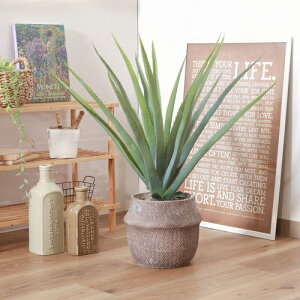 フェイクグリーン アロエ M 41136 セメントポット 不二貿易 フェイクグリーン 観葉植物 造花インテリア 新生活 ギフトおしゃれ 室内 アートグリーン 不二貿易