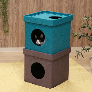 ペットハウスキューブ2段 53712 ブルー/ブラウン 不二貿易