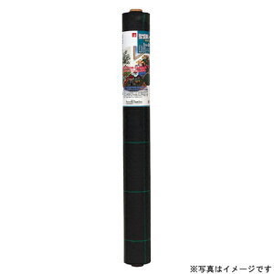 ͖hV[gXO[2×100m #7219 L{V