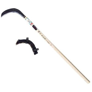 a̎R^ъ 900 #120328 L{V