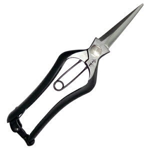 金星シノギ芽切鋏 金止 200mm #2504 キンボシ