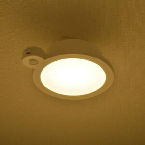 LED~jV[OCg ZT[t 60` dF LE-Y9LG-W-PIR OHM
