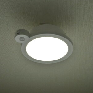 LED~jV[OCg ZT[t 60` F LE-Y9DG-W-PIR OHM