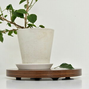 Eh v^[x[X ONPT0106MEBRN uE W300×D300×H37mm B.Bt@jVO